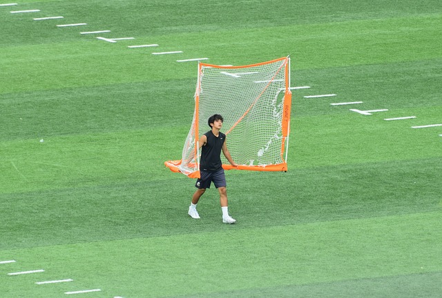 梅努与这些